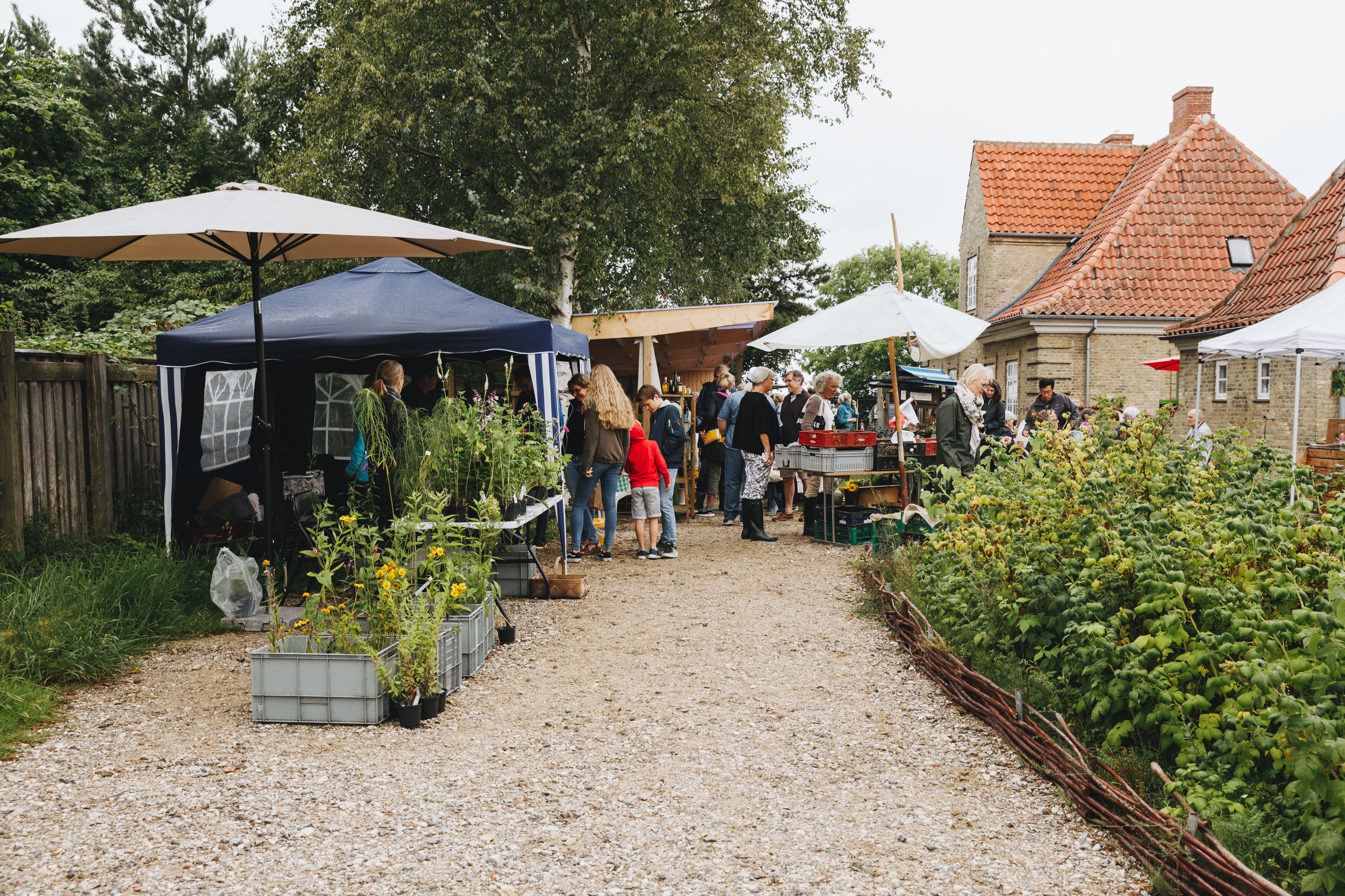 Torup Marked kan opleves fra juni til oktober hver anden lørdag