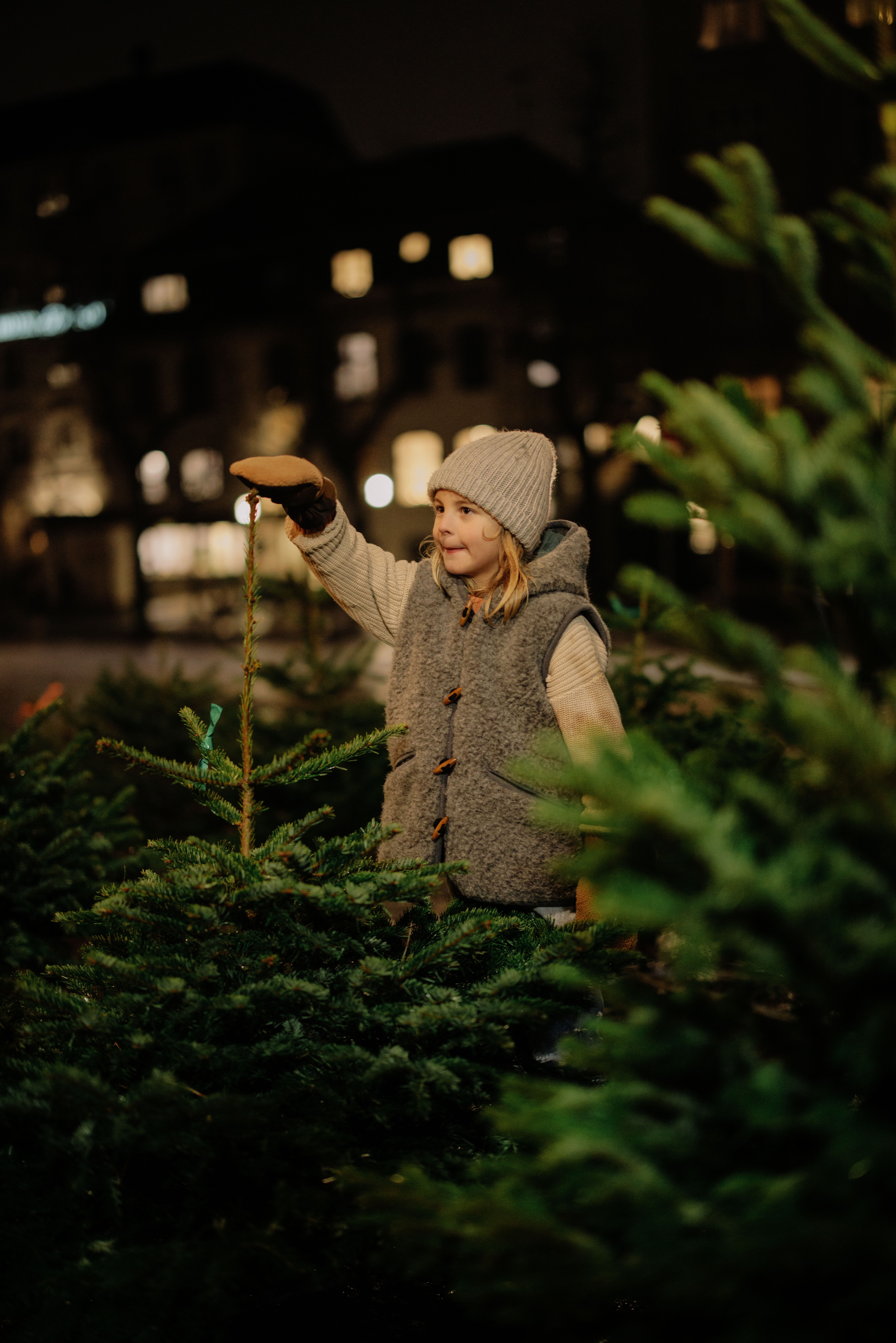 Fæld dit eget juletræ