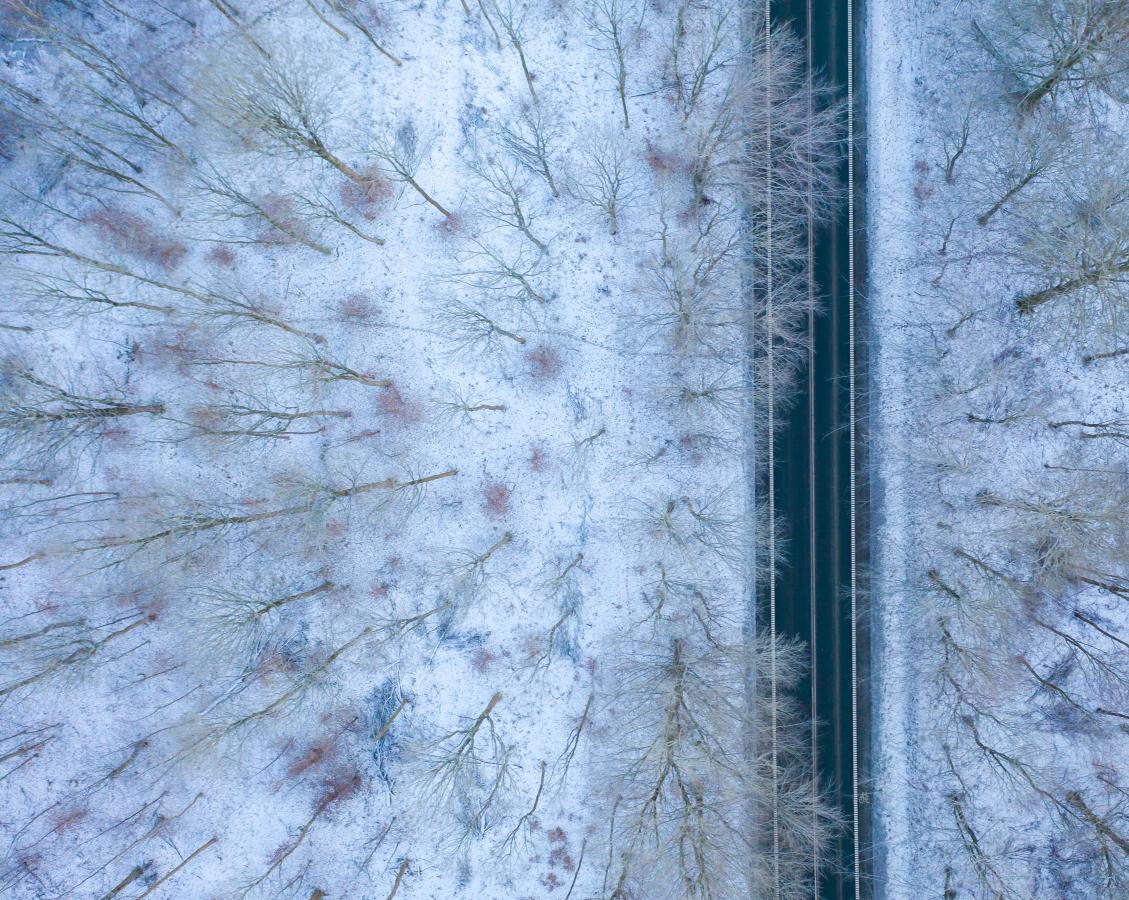 Winter in North Zealand