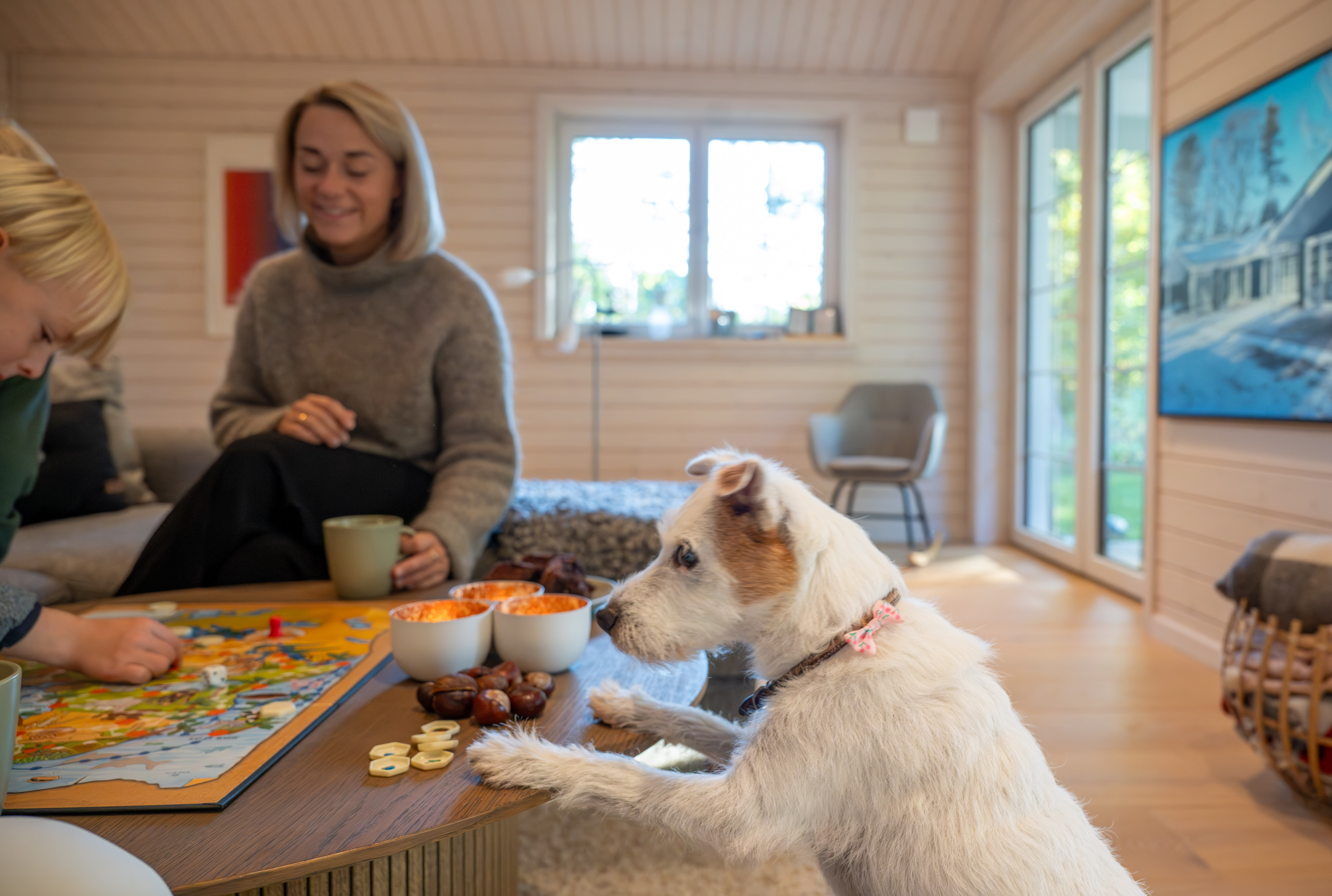 Feriehus i Nordsjælland