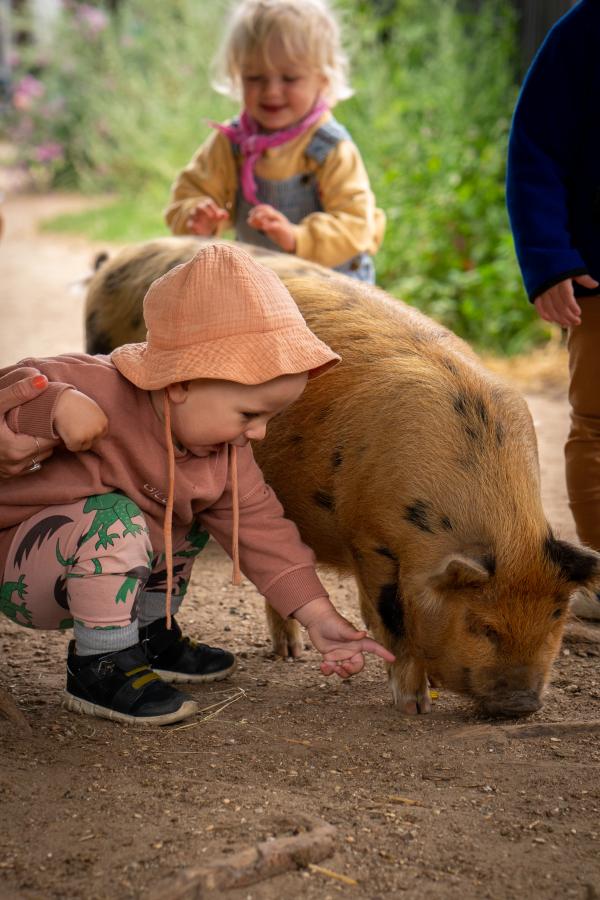 Tothaven besøgsbondegård ved Hundested