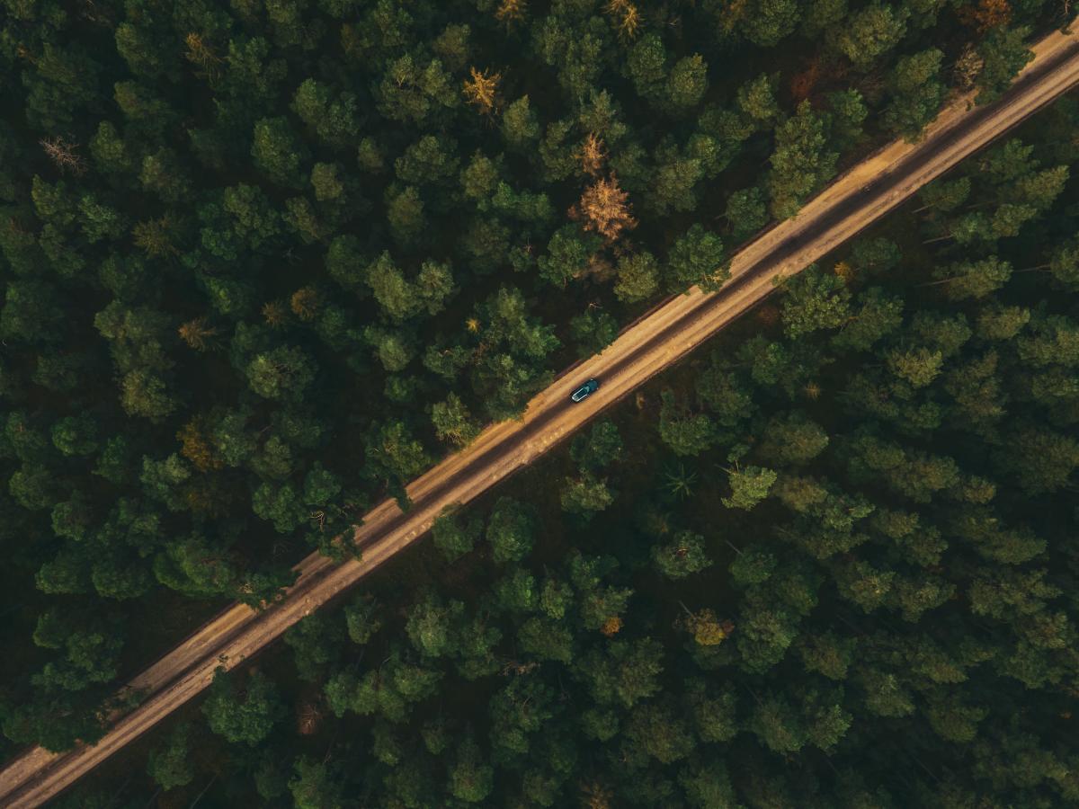 Asserbo Plantage Dronefoto