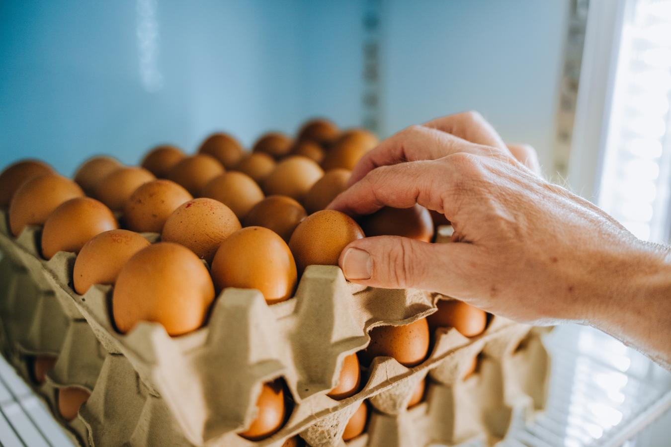 Gårdbutikken Lille Lyngby