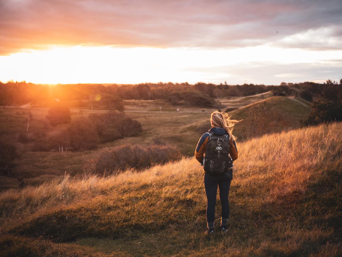 Heatherhill ved Vejby