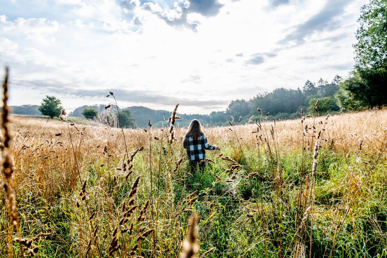 Naturområde i Danmark