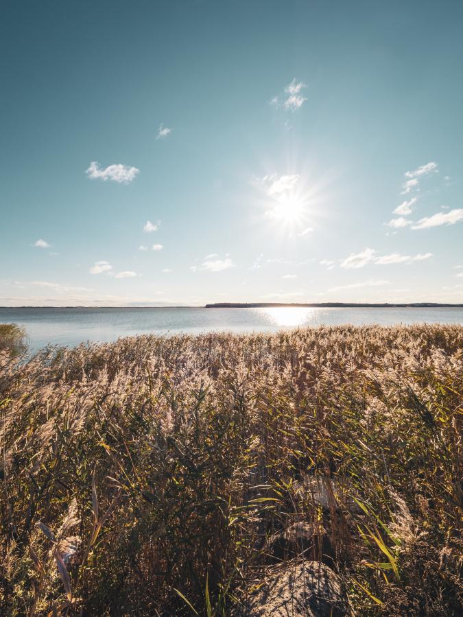 Pibe Mølle ved Arresø