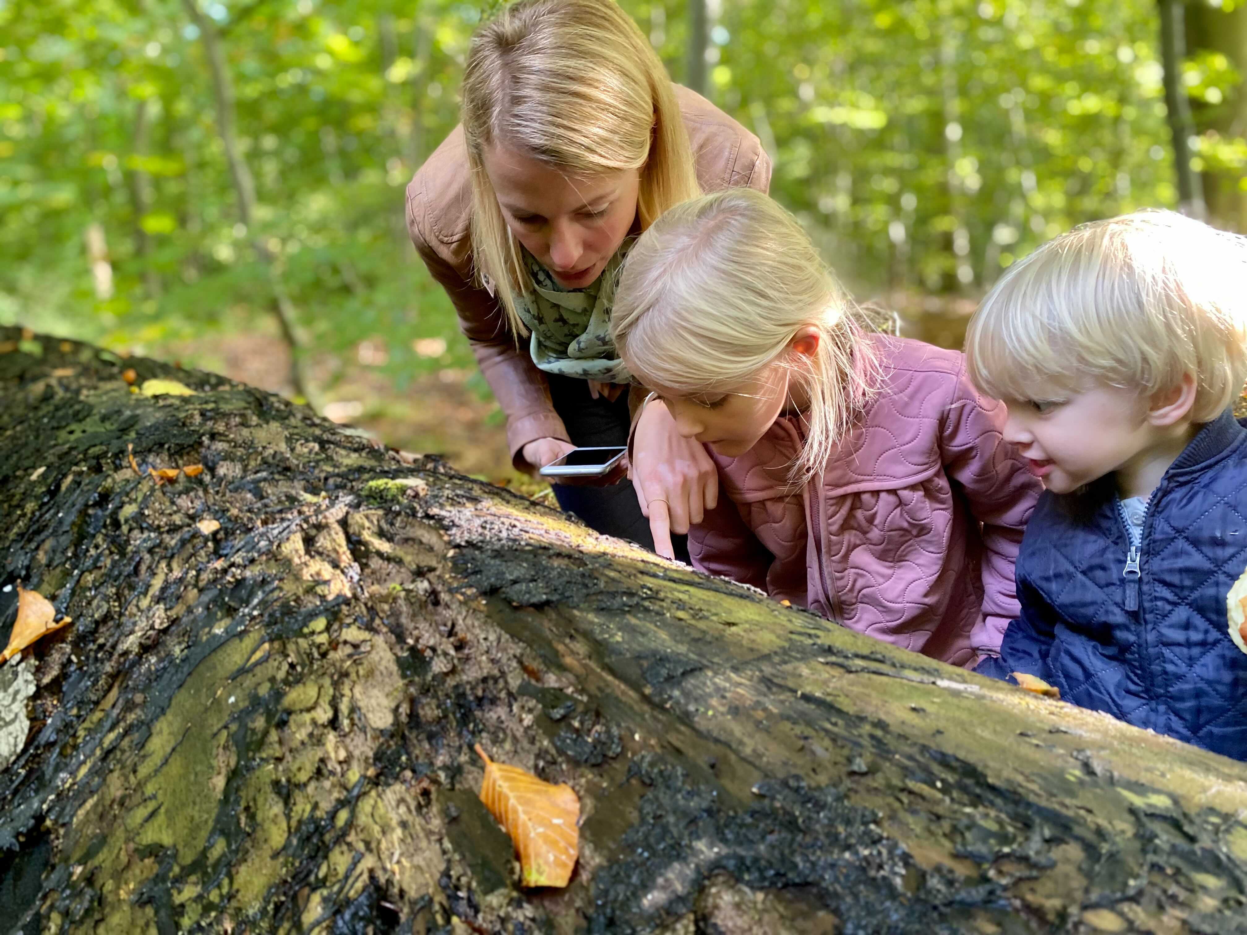 Natur Eventyr i Nordsjælland