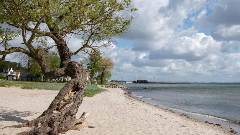 Humlebæk Strand