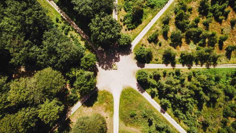 The King's Star in the Par Force Hunting Landscape seen from above with the eight straight roads radiating from the center.