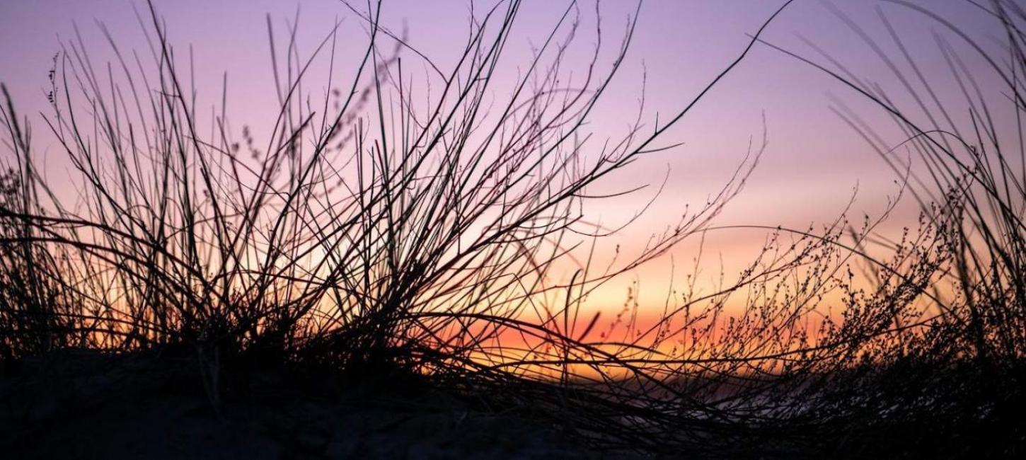 Solopgang ved Hornbæk Strand