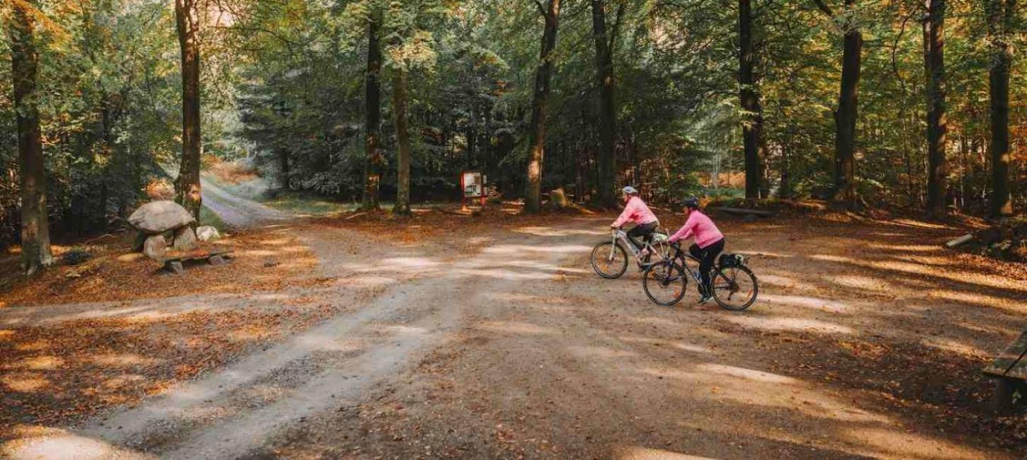 På mountainbike i Parforceskoven