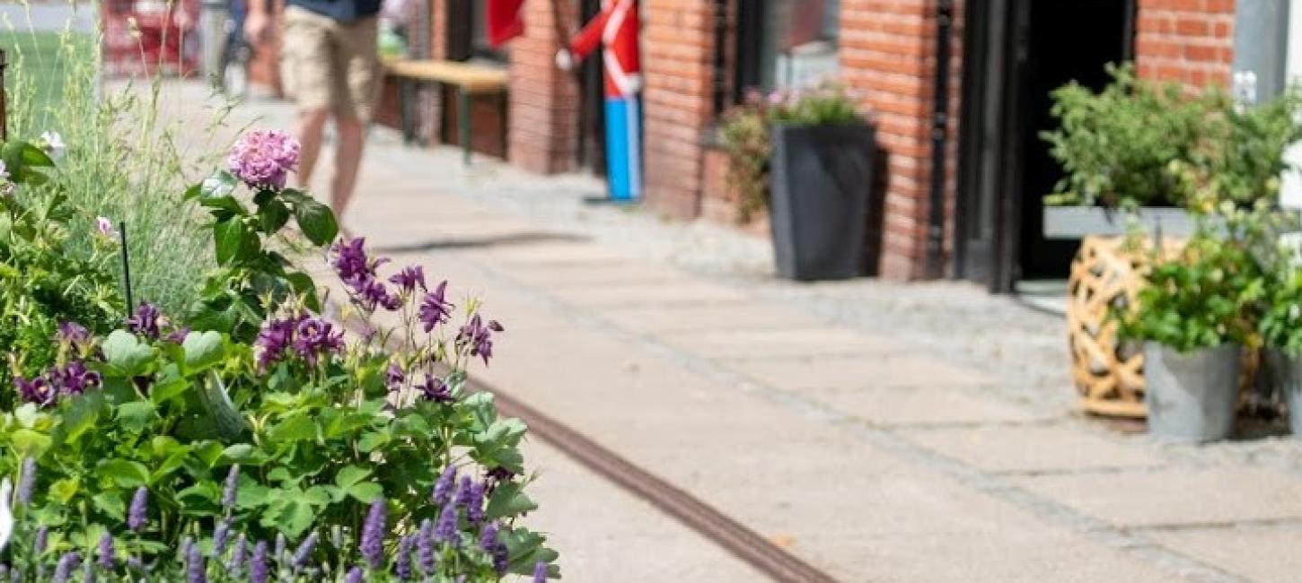 Blomster, mand og shoppinggade