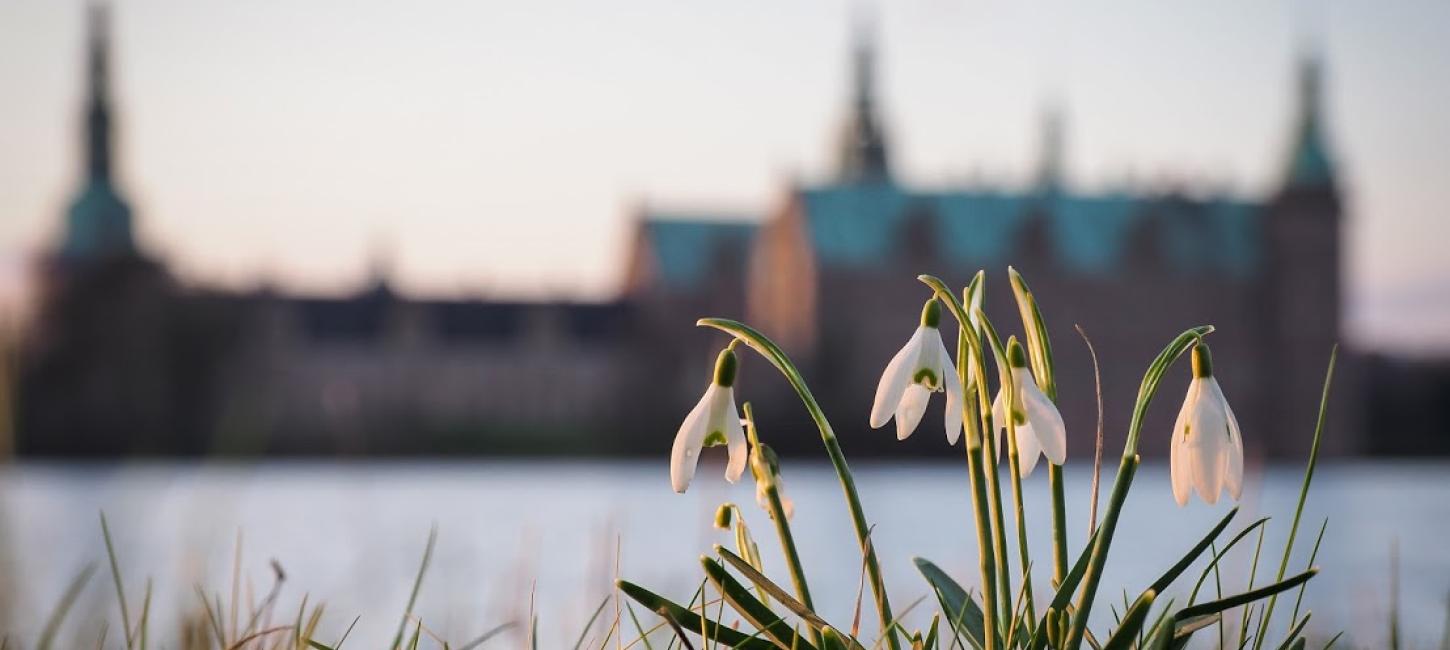 Frederiksborg Castle 