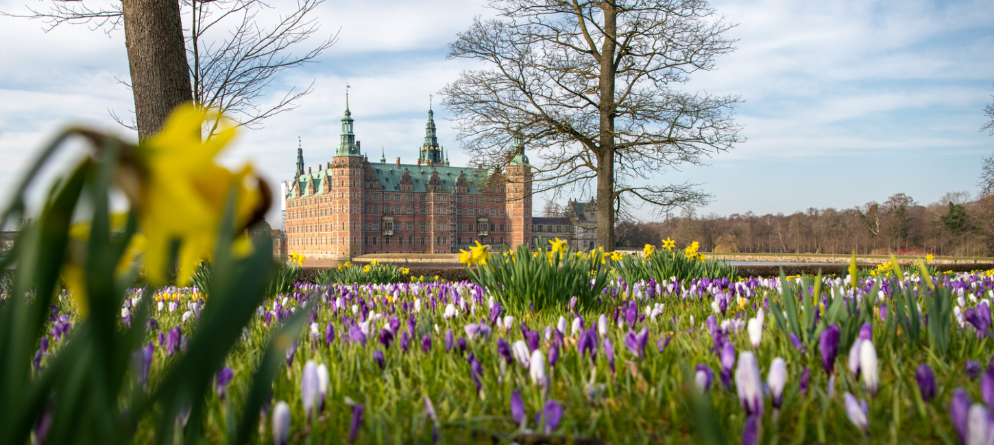 Blomster og udsigt til slottet