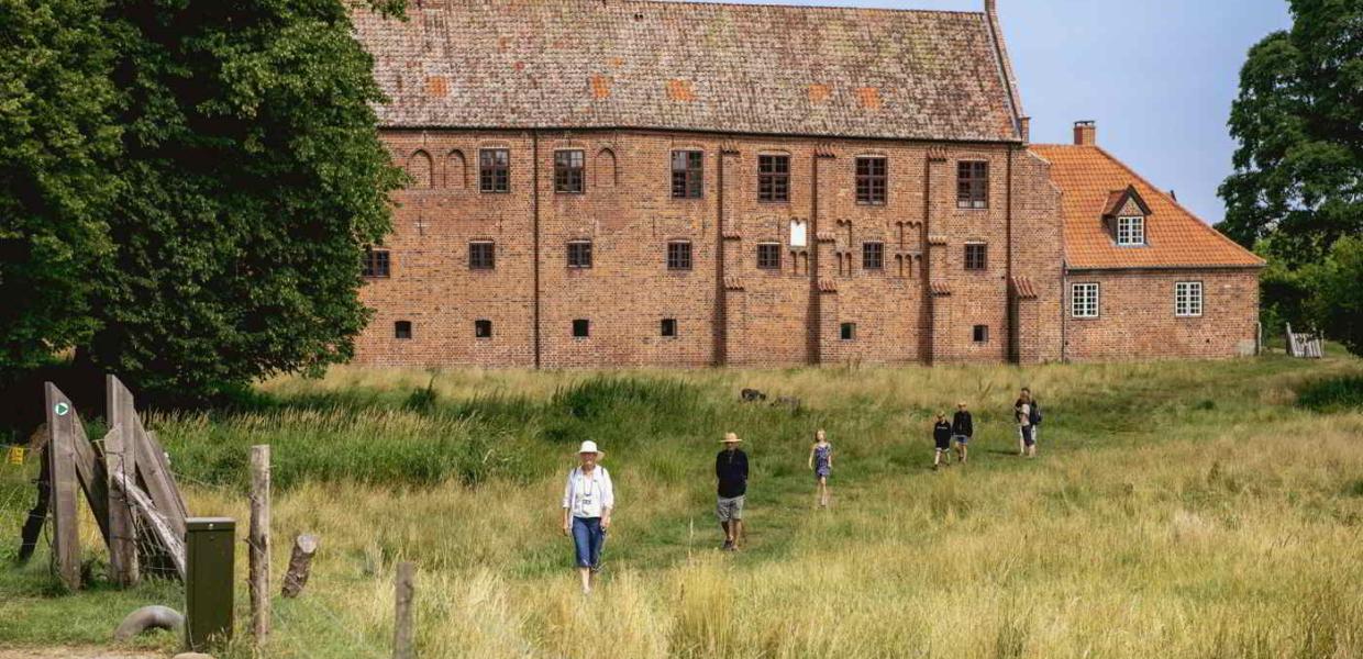 A group of people is walking down the meadow in front of Esrum Abbey.