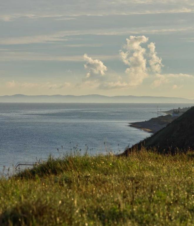 Sweden can be seen in the background from Heatherhill in North Zealand, Denmark