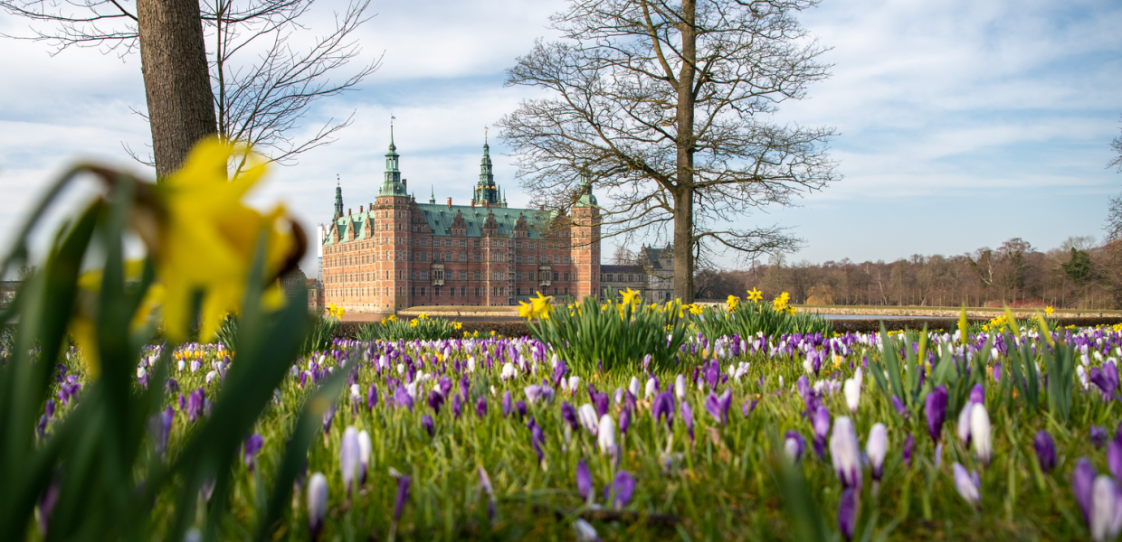 Blomster og udsigt til slottet