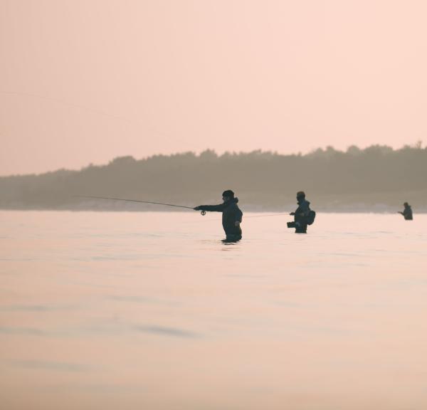 Fishing Danmark