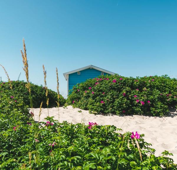 Tisvildeleje Beach