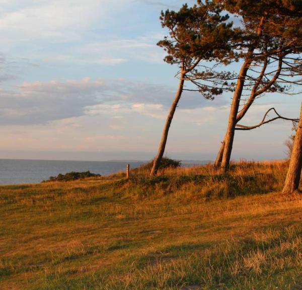 Kysthusene Gilleleje- udsigt over Kattegat