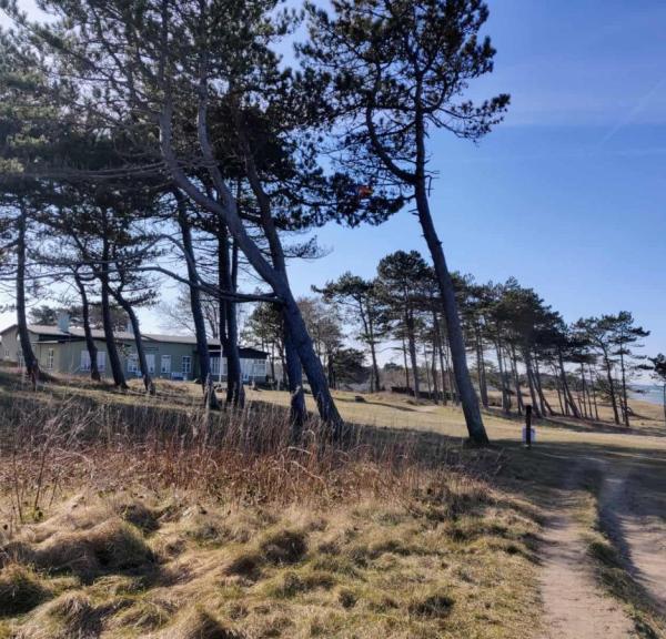 Kysthusene Gilleleje- udsigt over Kattegat