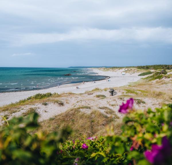 Smuk sommerdag på stranden i Liseleje