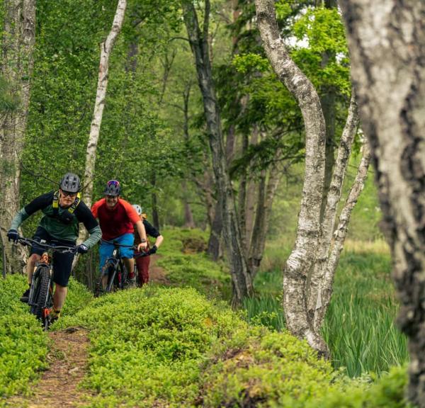 Teglovnen i Hillerød for møder og events