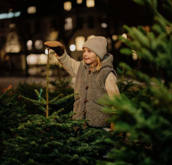 Fæld dit eget juletræ