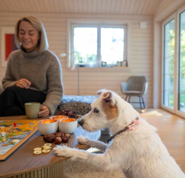 Feriehus i Nordsjælland