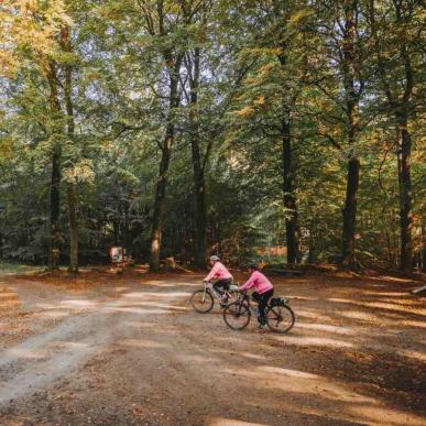 På mountainbike i Parforceskoven