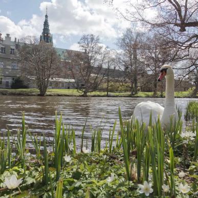 Frederiksborg Slot