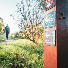 Tisvildevejen i Nordsjælland. En vandrerute med smukke naturoplevelser på Sjælland. 