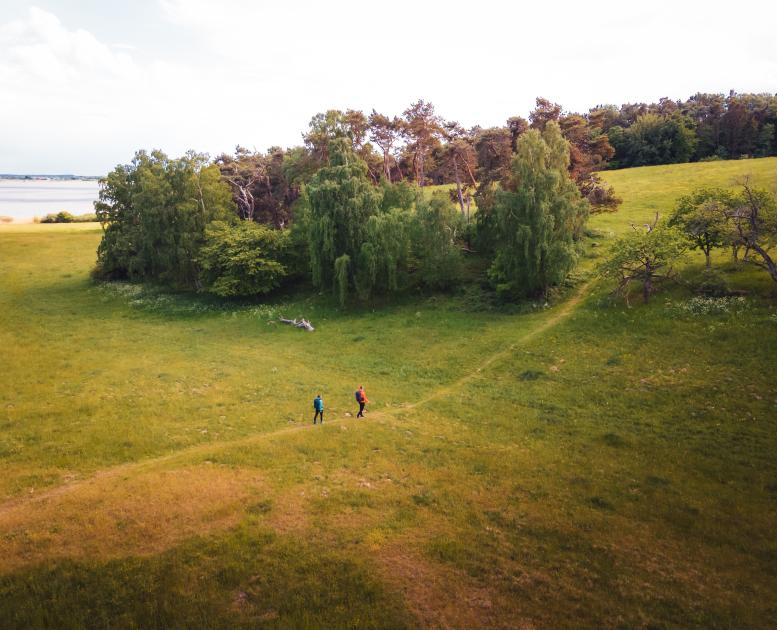Gå i den fantastiske nordsjællandske natur på vandreruten Halsninoen